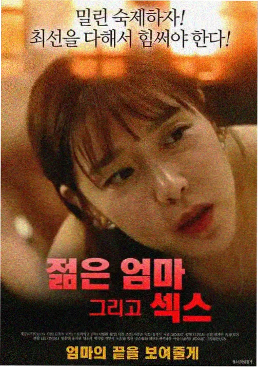 动画第九区间的回声档案封面